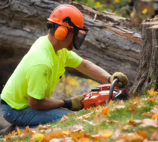 tree services Silver City